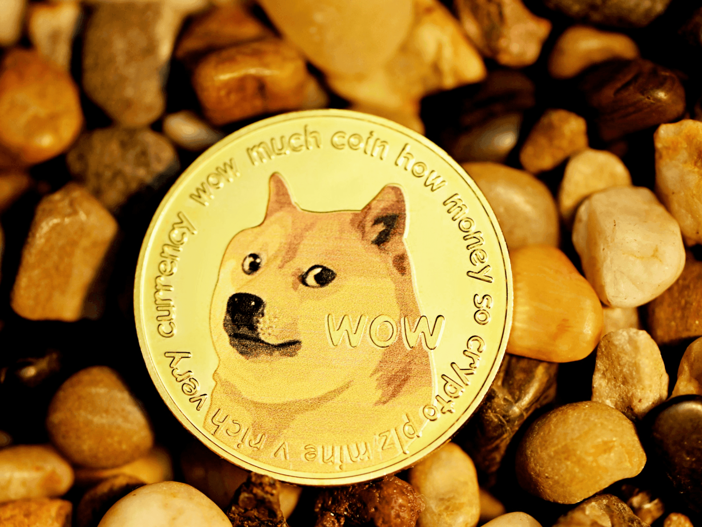 Dogecoin Faces Key Resistance as On-Chain Data Flags Three Major Levels
