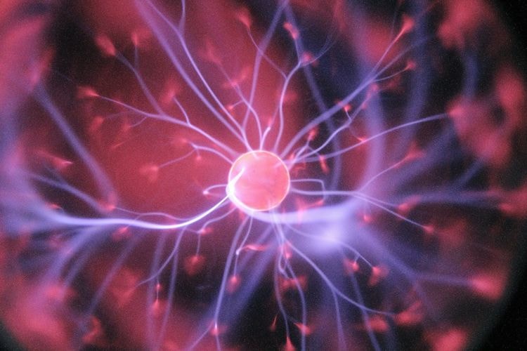Adult Brains Generate New Neurons Well Into Old Age, Landmark Study Confirms
